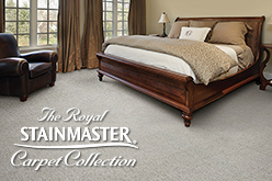 Royal Stainmaster